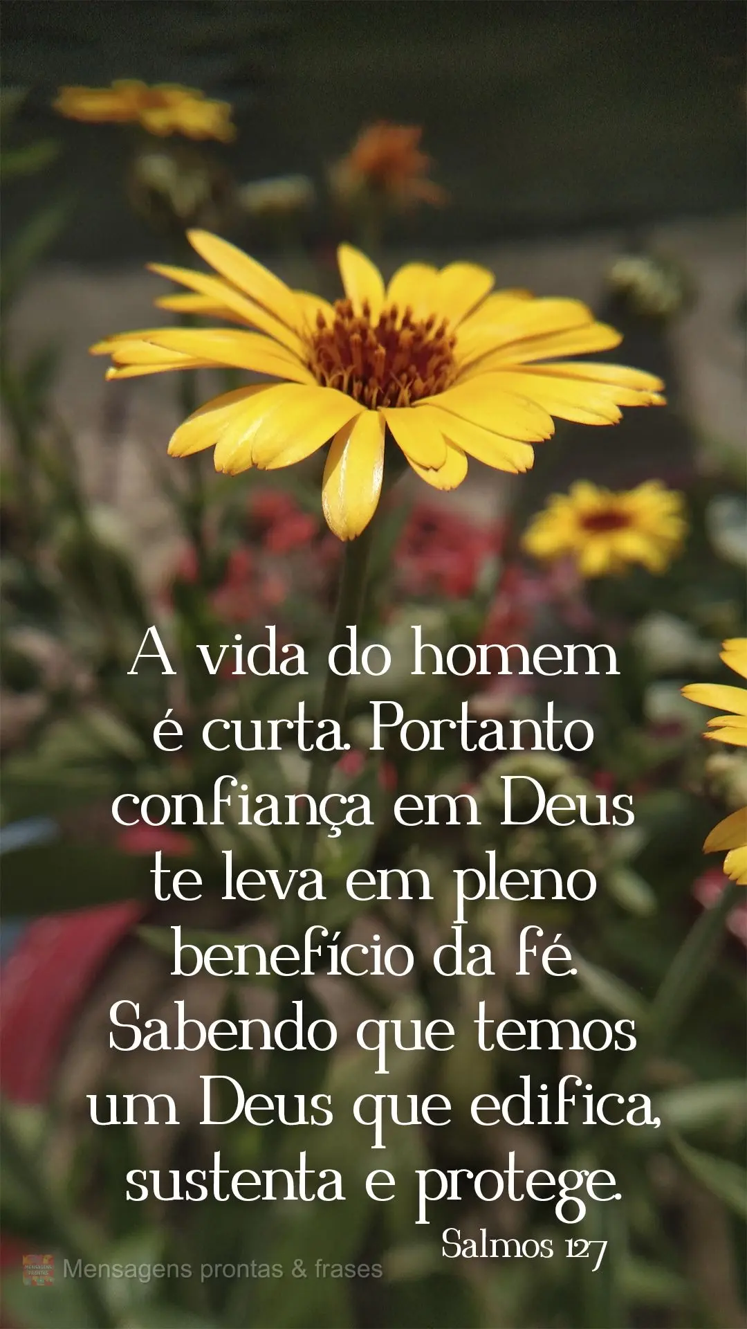 A vida do homem é curta. Portanto a confiança em Deus te leva em pleno benefício da fé. Sabendo que temos um Deus que edifica, sustenta e protege. Sa...