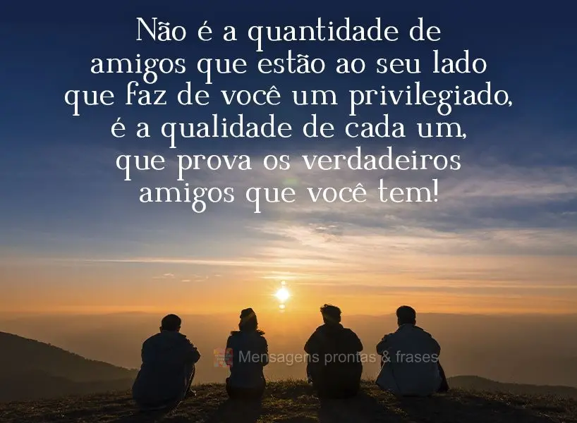 Não é a quantidade de amigos que estão ao seu lado que faz de você um privilegiado, é a qualidade de cada um, que prova os verdadeiros amigos que vo...