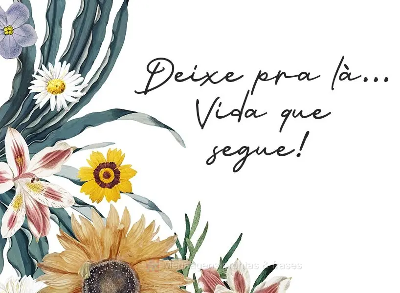 Deixe pra lá...Vida que segue!