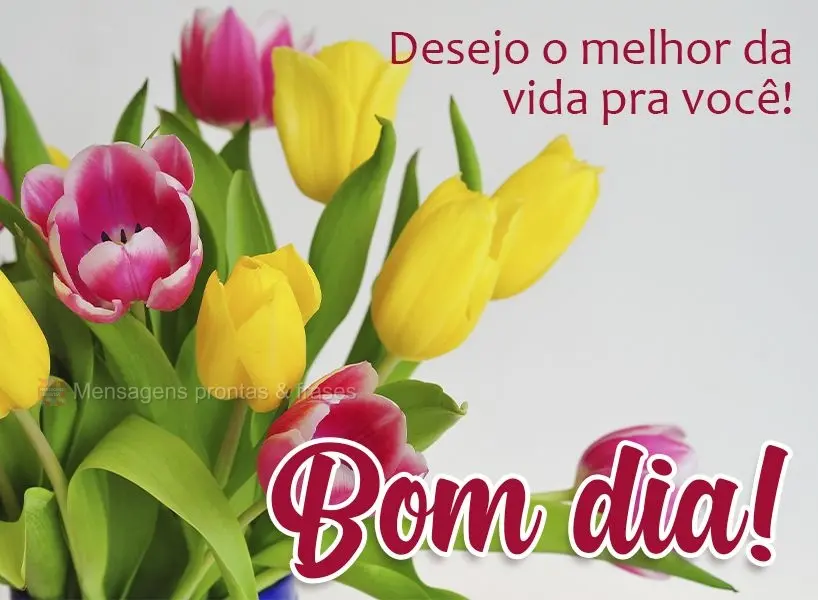 Desejo o melhor da vida pra você! Bom dia! 