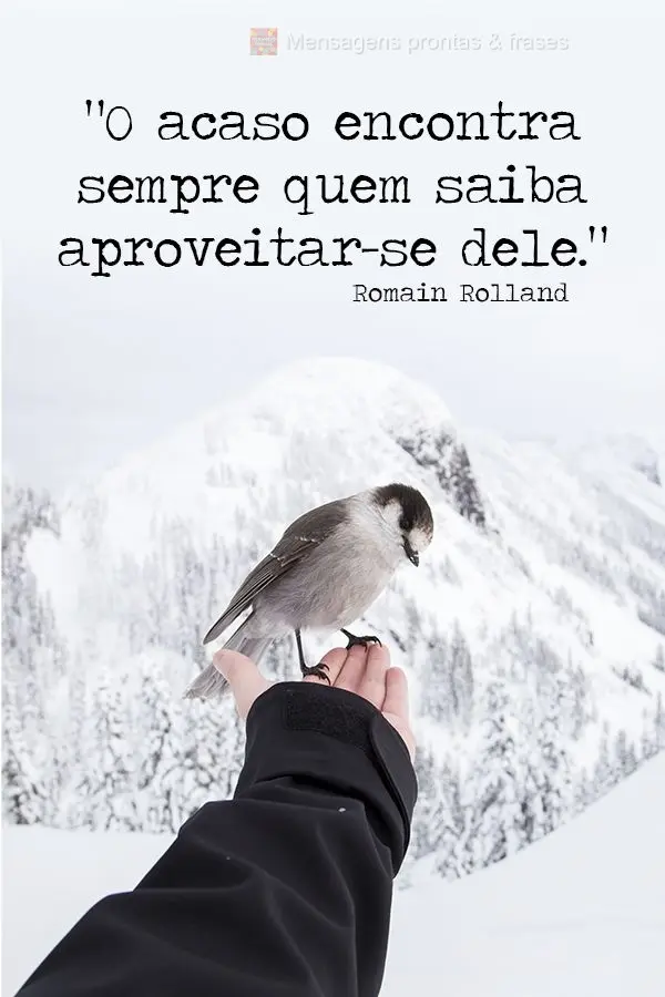 “O acaso encontra sempre quem saiba aproveitar-se dele.”  Romain Rolland