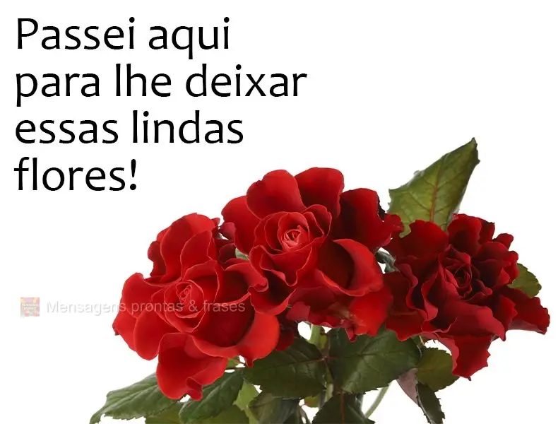 Passei aqui para lhe deixar essas lindas flores!