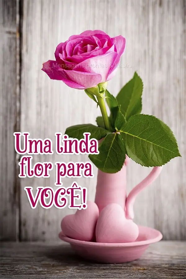 Uma linda flor para você!