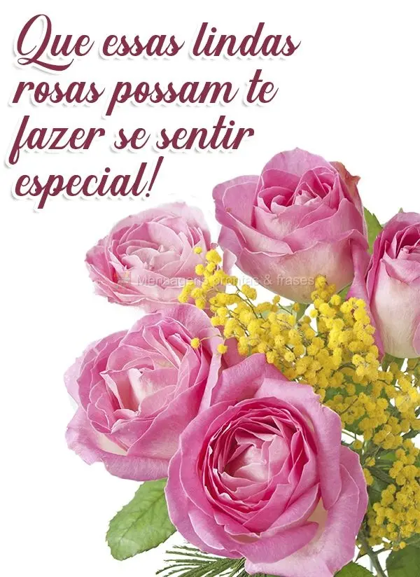 Que essas lindas rosas possam te fazer sentir especial!