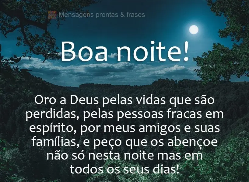 Oro a Deus pelas vidas que são perdidas, pelas pessoas fracas em espírito, por meus amigos e suas famílias, e peço que os abençoe não só nesta noi...