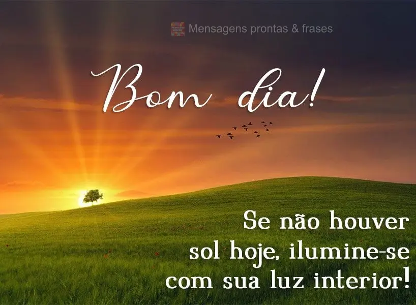 Se não houver sol hoje, ilumine-se com sua luz interior! Bom dia! 