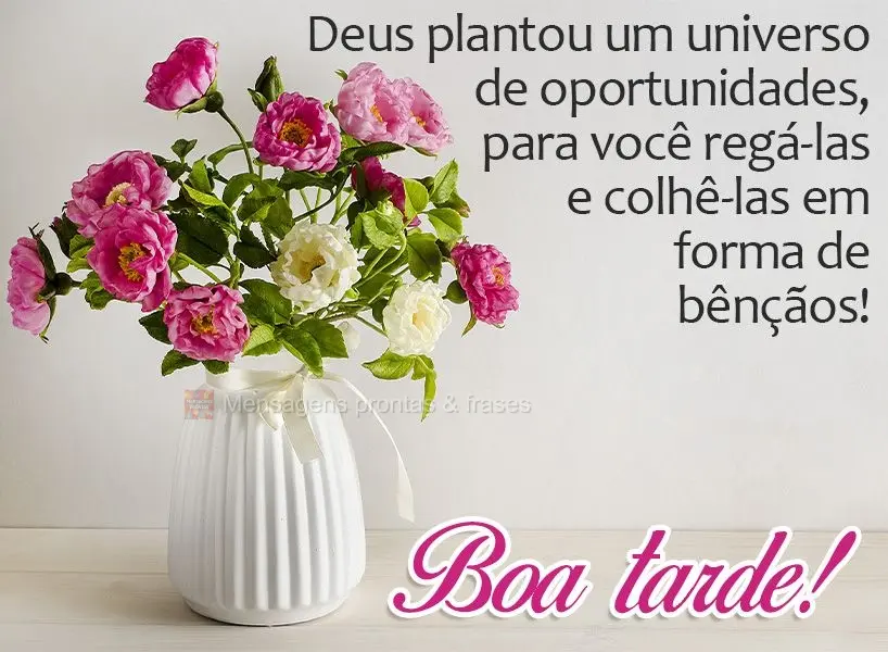 Deus plantou um universo de oportunidades para você regá-las e colhê-las em forma de bênçãos! Boa tarde! 