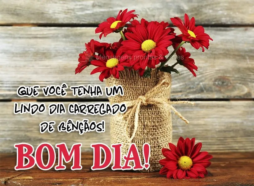 Que você tenha um lindo dia carregado de bênçãos! Bom dia! 