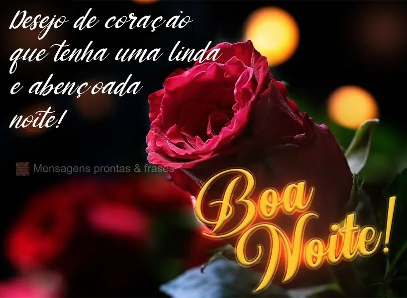 Desejo de coração que tenha uma linda e abençoada noite! Boa noite! 