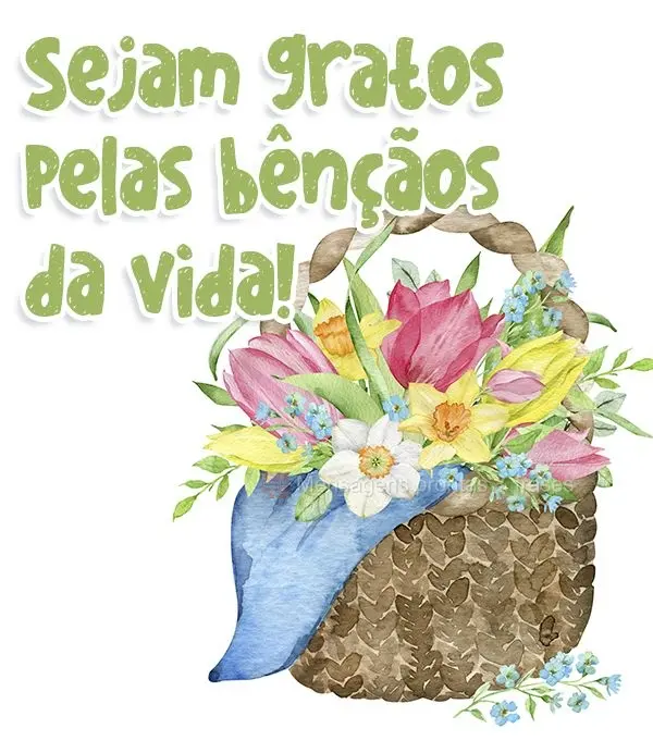 Sejam gratos pelas bênçãos da vida!