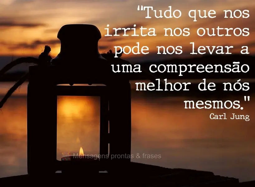 “Tudo que nos irrita nos outros pode nos levar a uma compreensão melhor de nós mesmos.”  Carl Jung