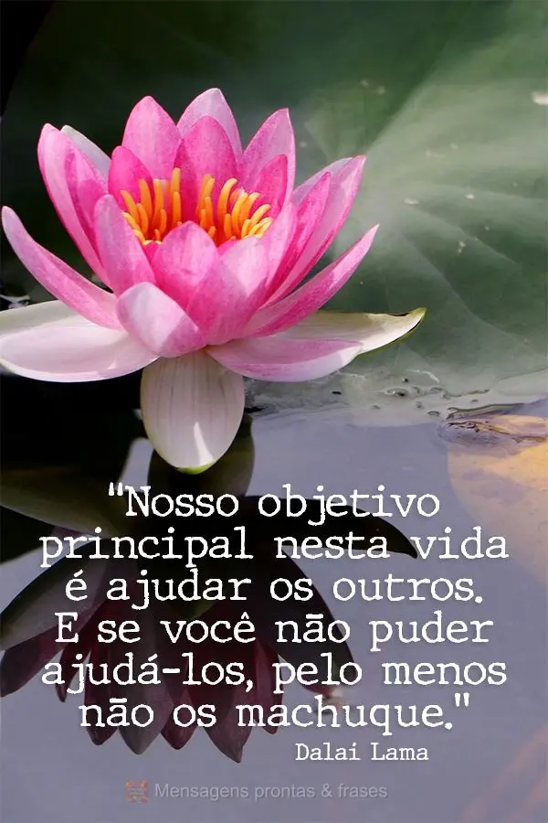 “Nosso objetivo principal nesta vida é ajudar os outros. E se você não puder ajudá-los, pelo menos não os machuque.” Dalai Lama