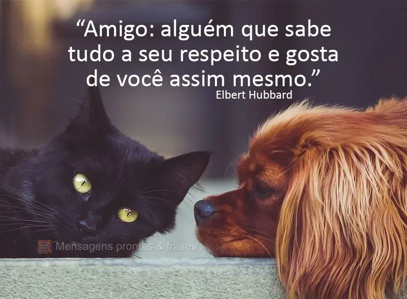 “Amigo: alguém que sabe tudo a seu respeito e gosta de você assim mesmo.”  Elbert Hubbard