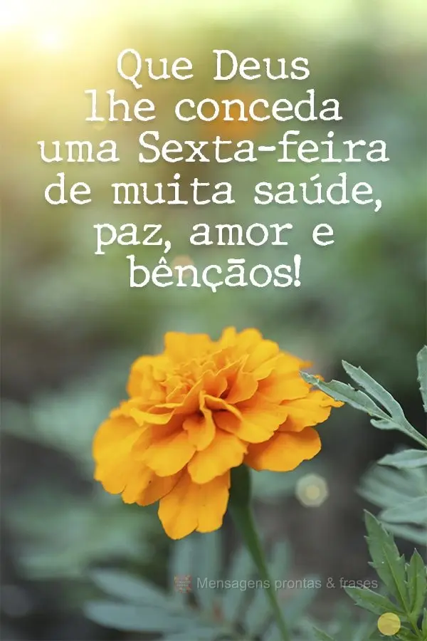 Que Deus lhe conceda uma Sexta-feira de muita saúde, paz, amor e bênçãos!