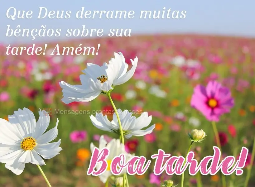 Que Deus derrame muitas bênçãos sobre sua tarde! Amém!  Boa tarde!