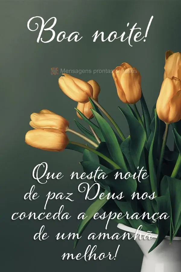 Que nesta noite de paz Deus nos conceda a esperança de um amanhã melhor!  Boa noite!