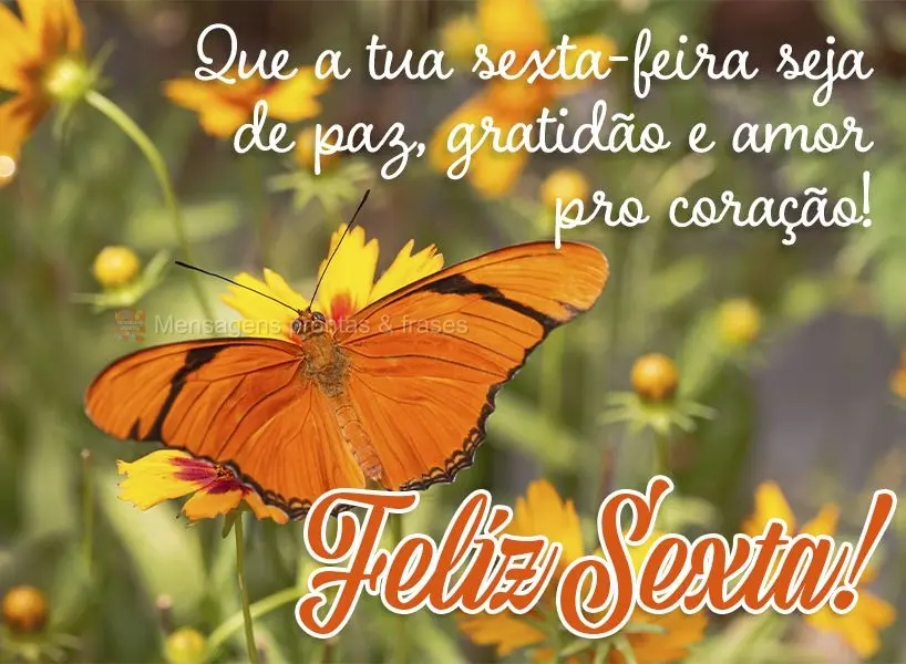 Que a tua sexta-feira seja de paz, gratidão e amor pro coração!  Feliz Sexta!