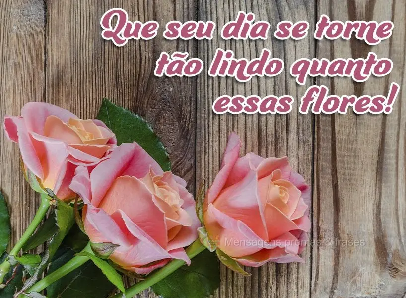 Que seu dia se torne tão lindo quanto essas flores!