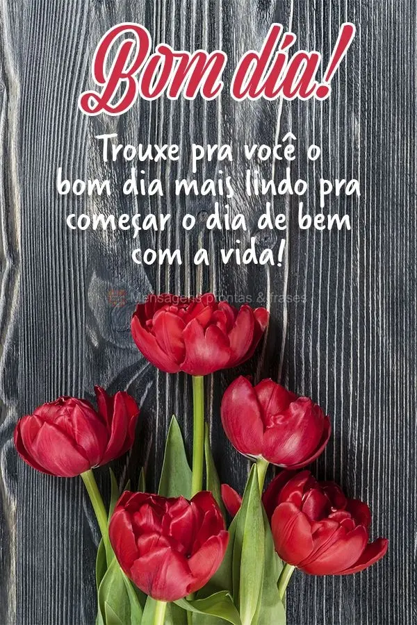 Trouxe pra você o bom dia mais lindo pra você começar o dia de bem com a vida! Bom dia! 