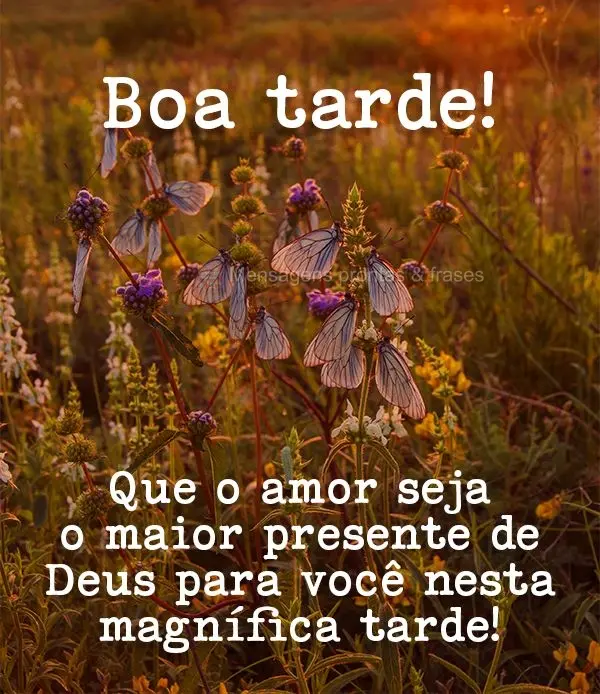 Que o amor seja o maior presente de Deus para você nesta magnífica tarde! Boa tarde! 