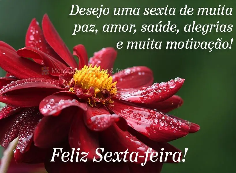 Desejo uma sexta de muita paz, amor, saúde, alegrias e muita motivação!  Feliz Sexta-feira!