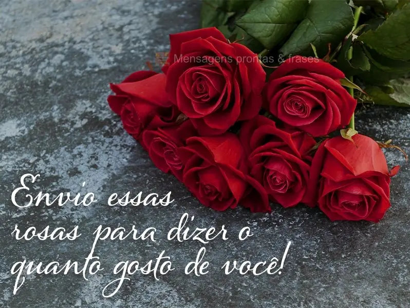 Envio essas rosas para dizer o quanto gosto de você!