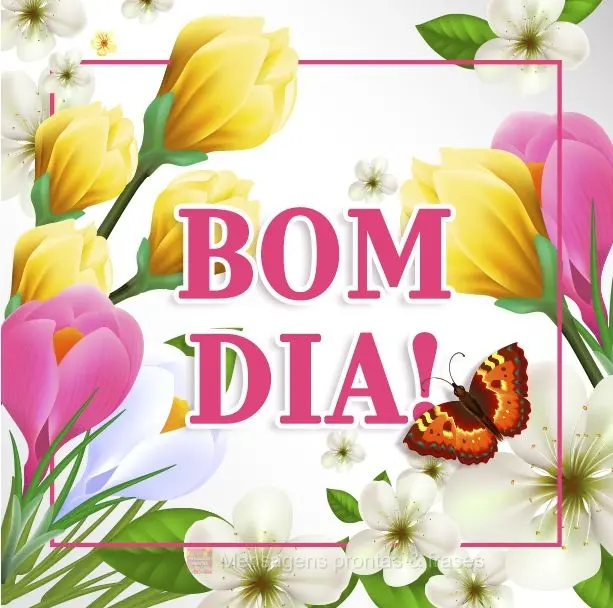 Bom dia!