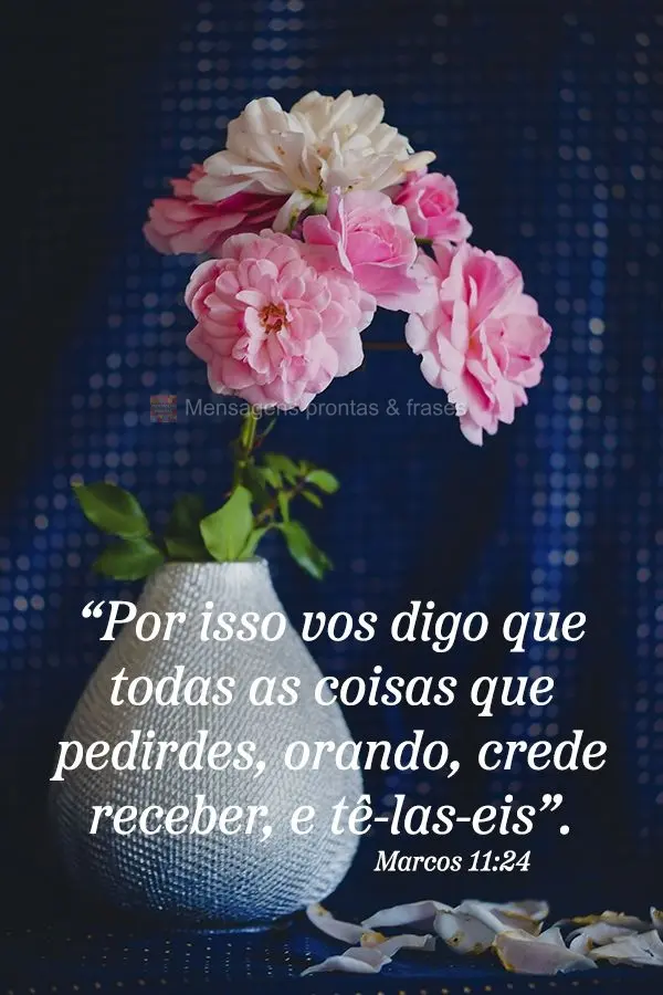 “Por isso vos digo que todas as coisas que pedirdes, orando, crede receber, e tê-las-eis”.
 Marcos 11:24