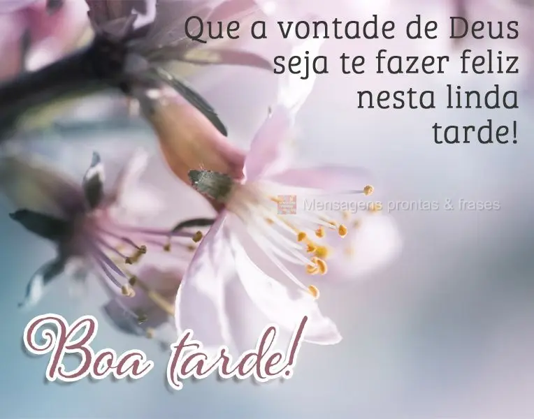 Que a vontade de Deus seja te fazer feliz nesta linda tarde! Boa tarde!