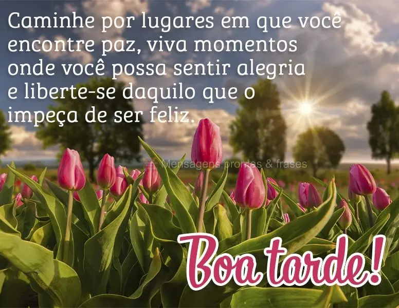 Caminhe por lugares em que você encontre paz. Viva momentos onde você possa sentir alegria e liberte-se daquilo que o impeça de ser feliz. Boa tarde!...