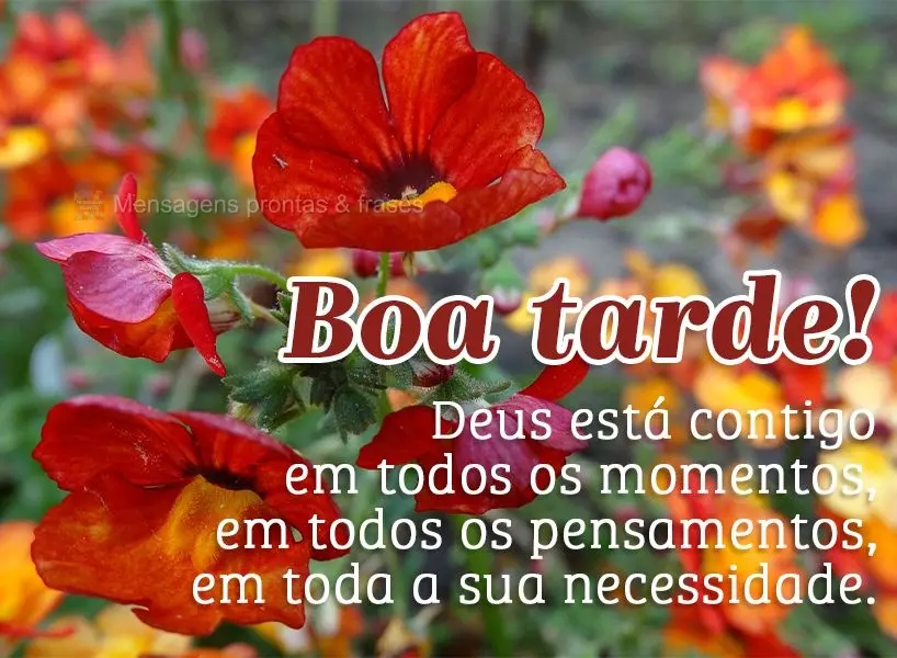 Deus está contigo em todos os momentos, em todos os pensamentos, em toda a sua necessidade. Boa tarde!