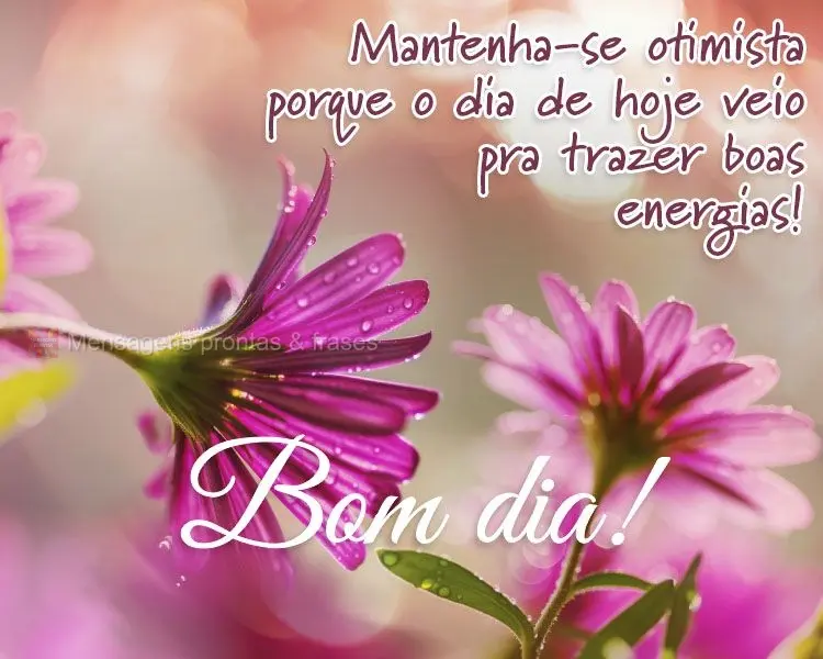 Mantenha-se otimista porque o dia de hoje veio pra trazer boas energias! Bom dia! 