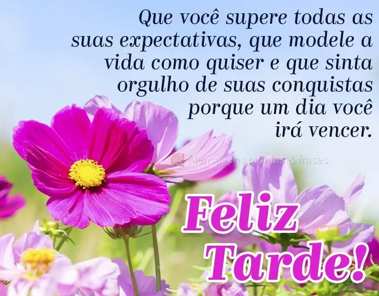 Que você supere todas as suas expectativas, que modele a vida como quiser e que sinta orgulho de suas conquistas, porque um dia você irá vencer. Feliz...