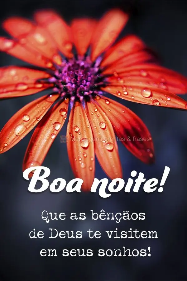 Que as bênçãos de Deus te visitem em seus sonhos! Boa noite!