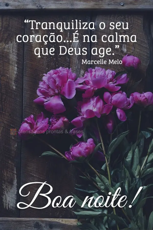 “Tranquiliza o seu coração...É na calma que Deus age.” Boa noite! Marcelle Melo