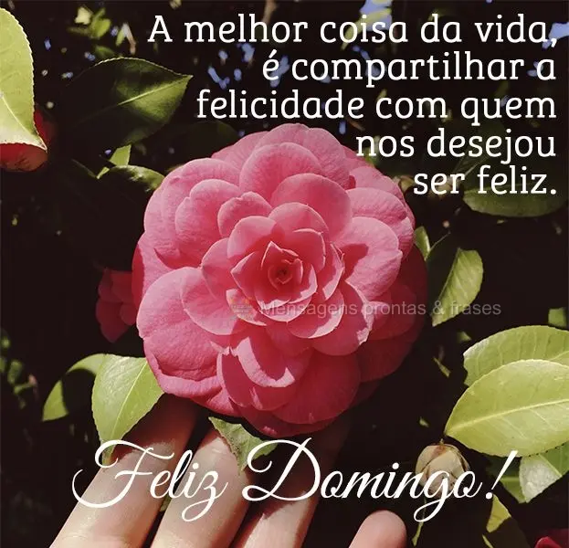 A melhor coisa da vida é compartilhar a felicidade com quem nos desejou ser feliz. Feliz Domingo!