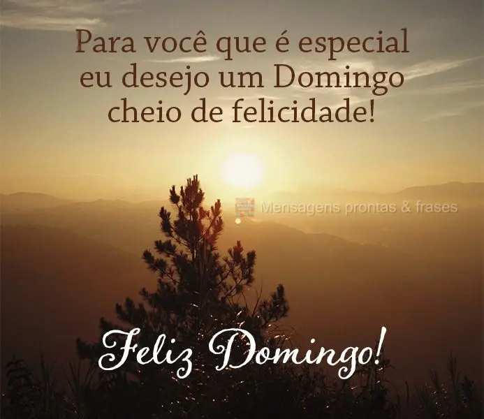 Para você que é especial desejo um Domingo cheio de felicidade! Feliz Domingo!