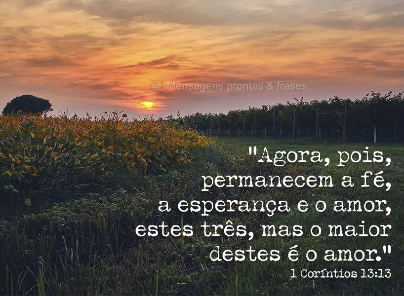 "Assim, permanecem agora estes três: a fé, a esperança e o amor. O maior deles, porém, é o amor. 1 Coríntios 13:13