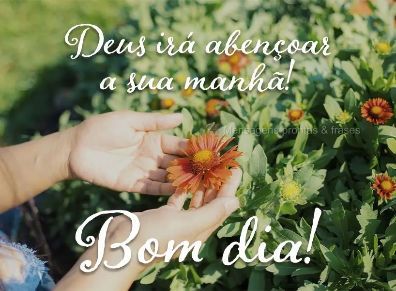 Deus irá abençoar a sua manhã! Bom dia!