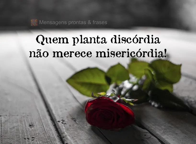 Quem planta discórdia não merece misericórdia!