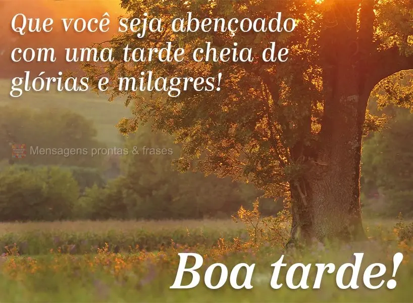 Que você seja abençoado com uma tarde cheia de glórias e milagres! Boa tarde!