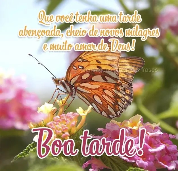 Que você tenha uma tarde abençoada, cheia de novos milagres e muito amor de Deus! Boa tarde!