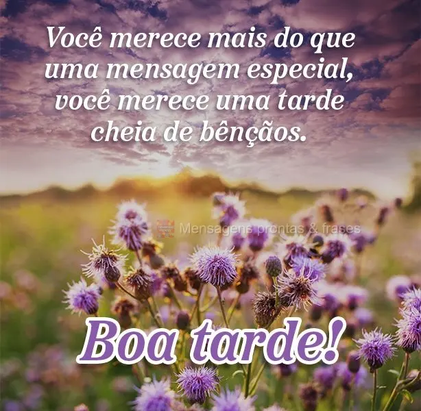 Você merece mais do que uma mensagem especial, você merece uma tarde cheia de bênçãos. Boa tarde!