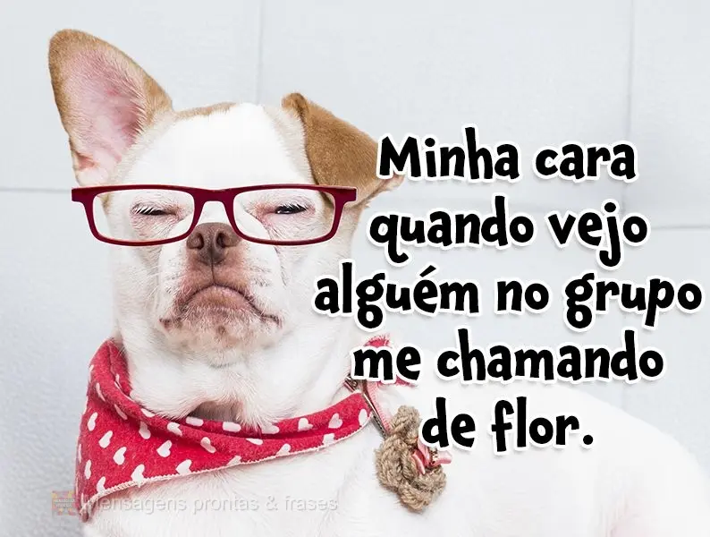 Minha cara quando vejo alguém no grupo me chamando de flor.