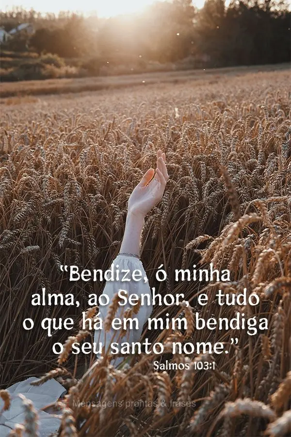 “Bendize, ó minha alma, ao Senhor, e tudo o que há em mim bendiga o seu santo nome.” Salmos 103:1