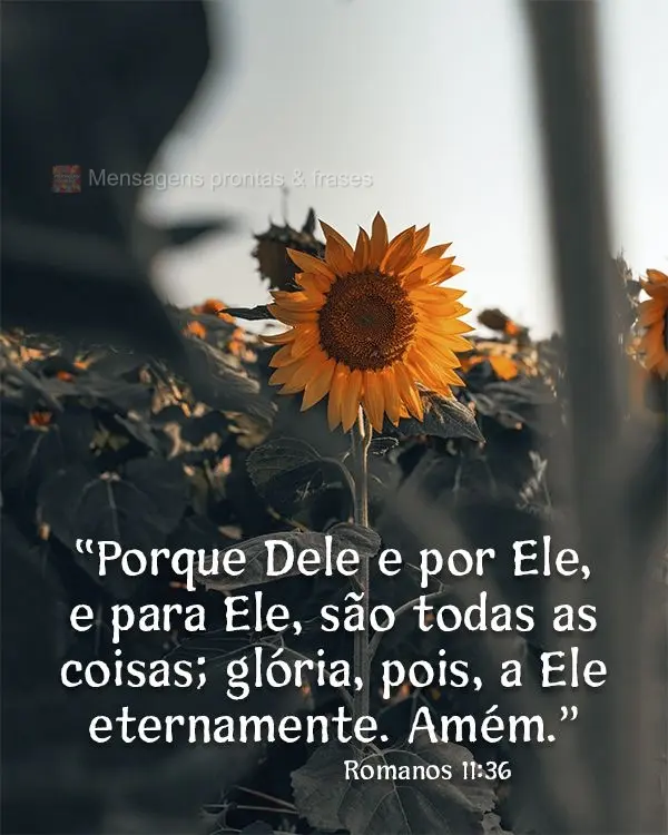 “Porque Dele e por Ele e para Ele, são todas as coisas; glória, pois, a Ele eternamente. Amém.” Romanos 11:36