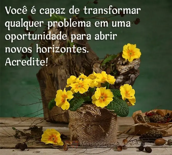 Você é capaz de transformar qualquer problema em uma oportunidade para abrir novos horizontes. Acredite!