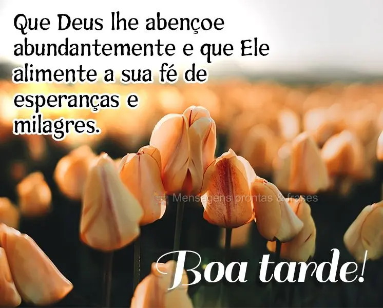 Que Deus lhe abençoe abundantemente e que Ele alimente a sua fé de esperanças e milagres. Boa tarde!