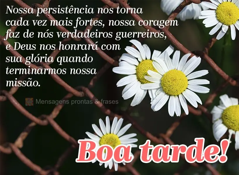 Nossa persistência nos torna cada vez mais fortes, nossa coragem faz de nós verdadeiros guerreiros e Deus nos honrará com sua glória quando terminarm...