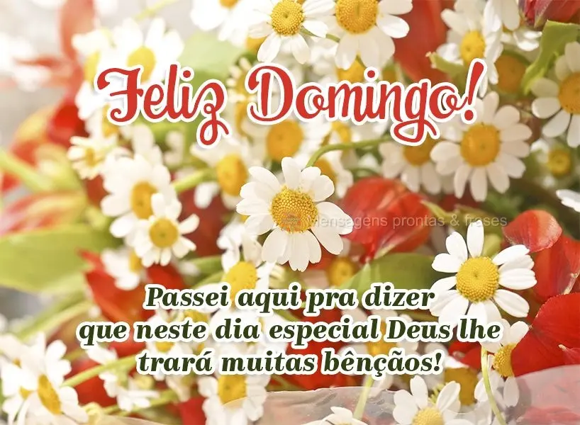 Passei aqui pra dizer que neste dia especial Deus lhe trará muitas bênçãos! Feliz Domingo!